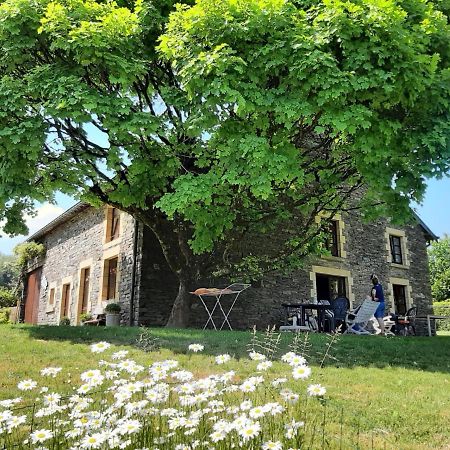 La Maison Des Marguerites Vresse-sur-Semois Luaran gambar