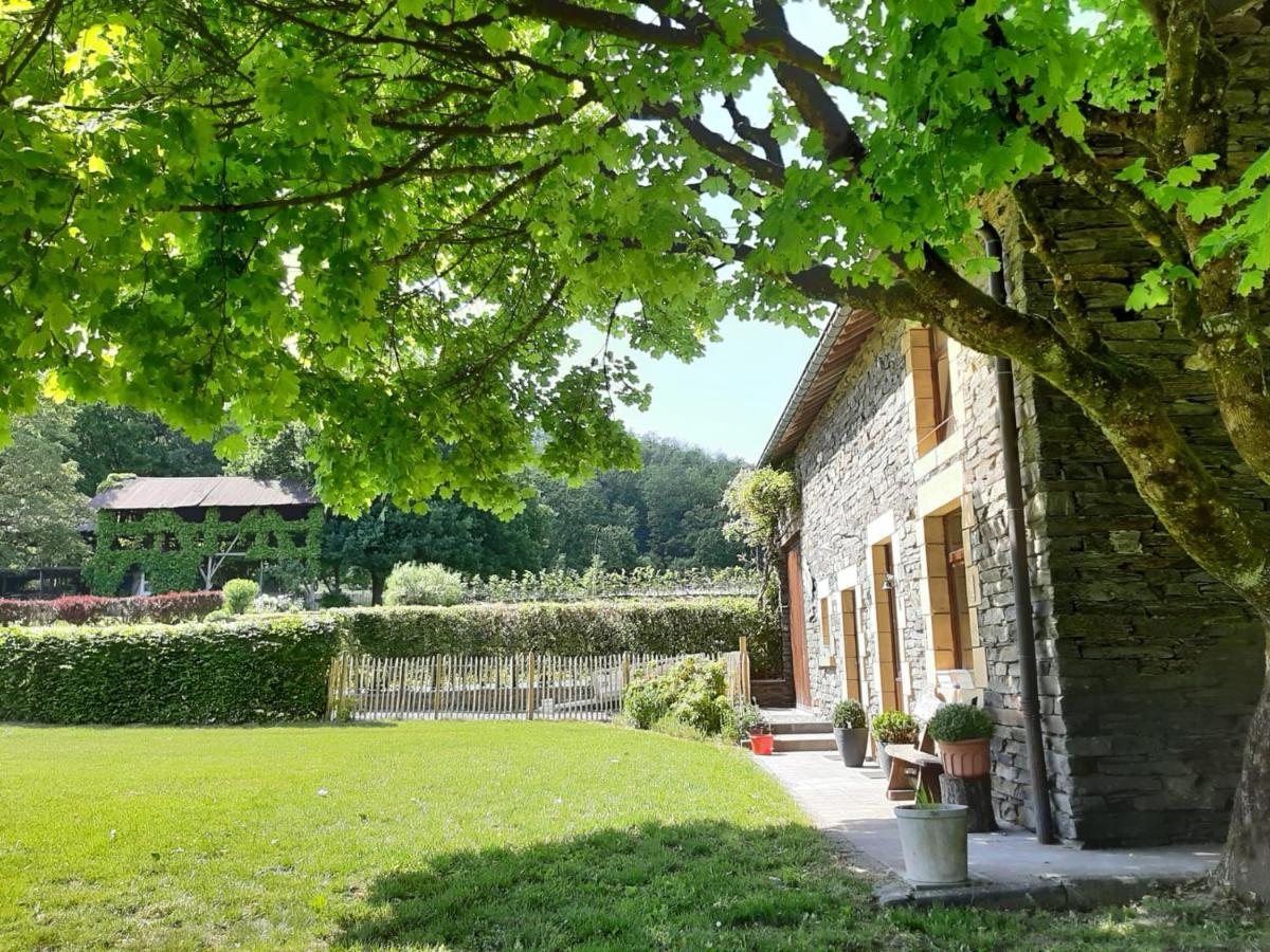 La Maison Des Marguerites Vresse-sur-Semois Luaran gambar