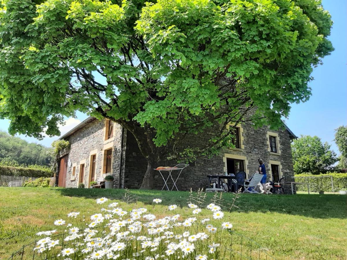 La Maison Des Marguerites Vresse-sur-Semois Luaran gambar