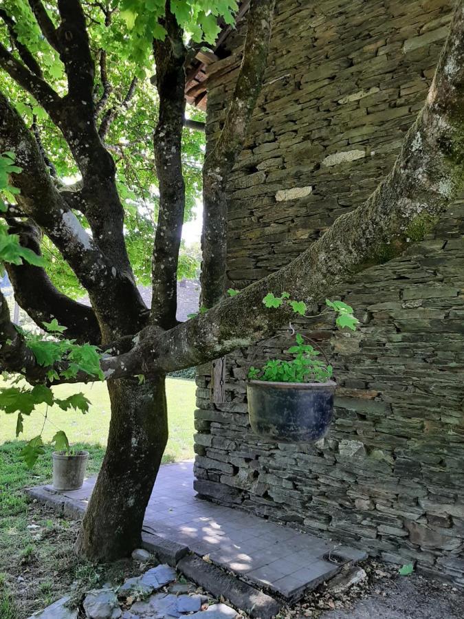La Maison Des Marguerites Vresse-sur-Semois Luaran gambar