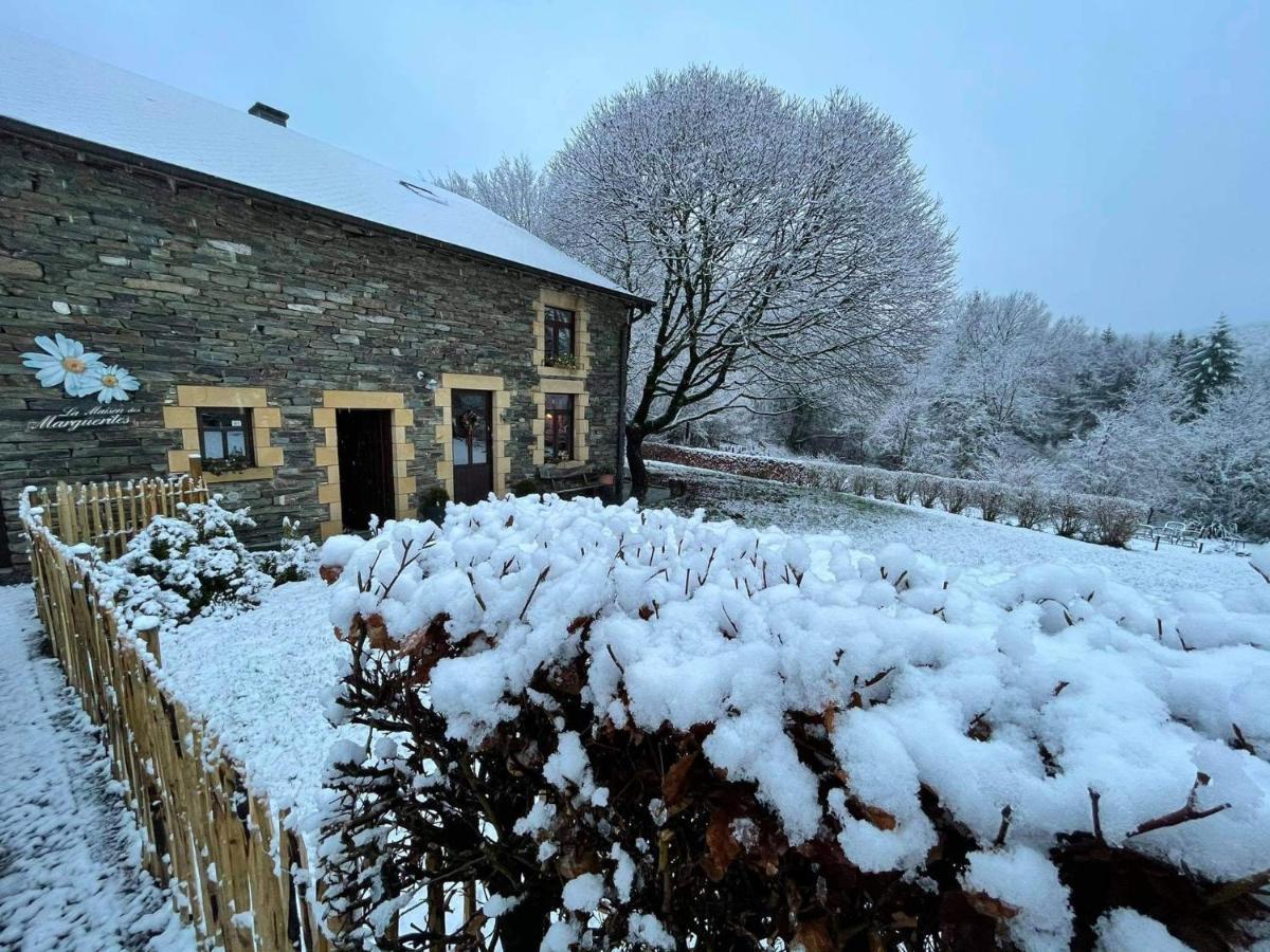 La Maison Des Marguerites Vresse-sur-Semois Luaran gambar