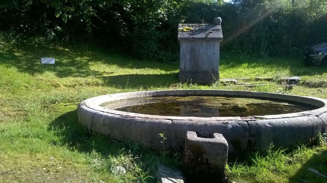 La Maison Des Marguerites Vresse-sur-Semois Luaran gambar