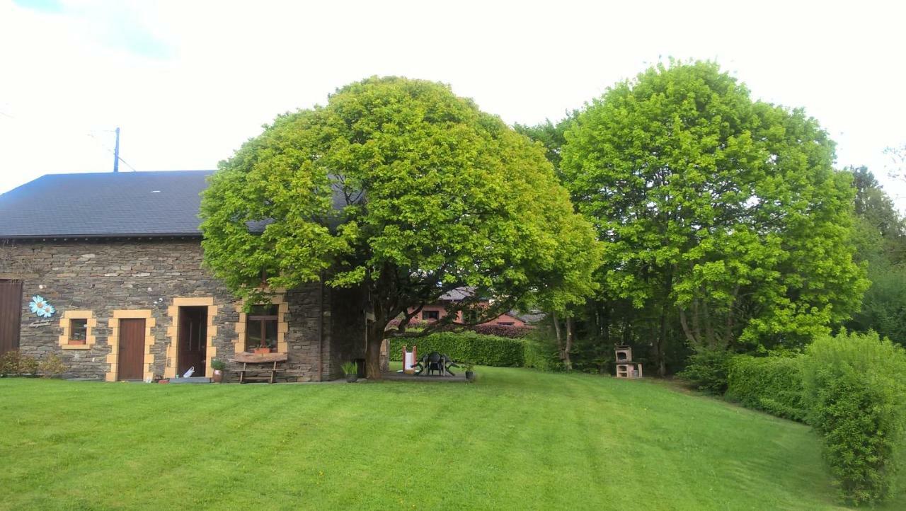 La Maison Des Marguerites Vresse-sur-Semois Luaran gambar